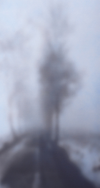 Nikolai Makarov: Allee im Nebel, 2016