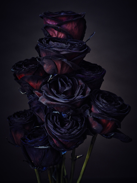 Black Roses