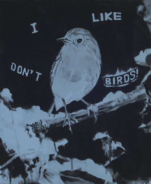 I don't like birds