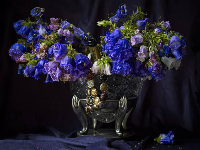 Campanule (Kopie) (Kopie)