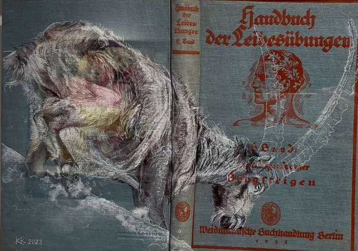 Handbuch der Leibesübungen