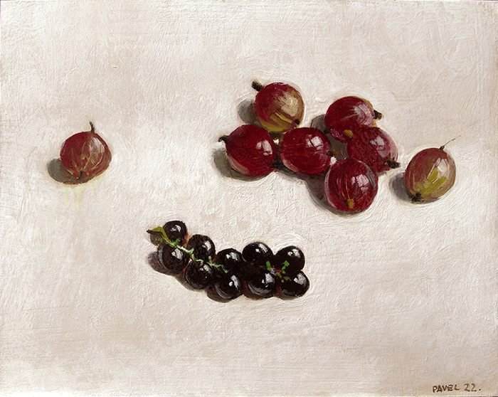 2828 - Stachel- und Johannisbeeren