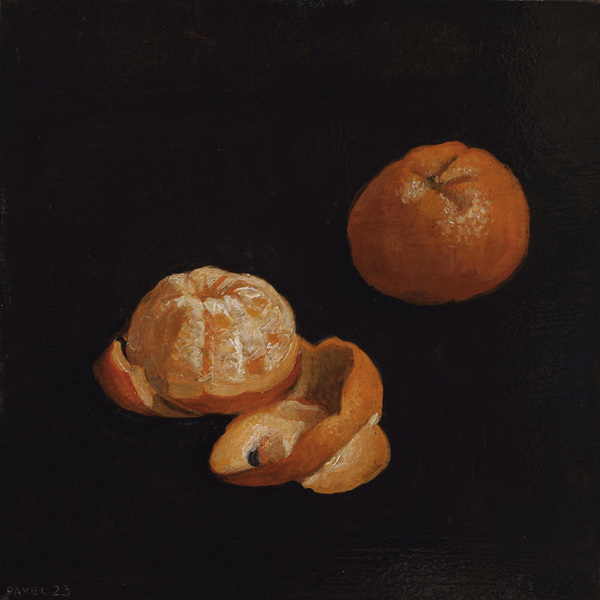 2879 - Zwei Mandarinen