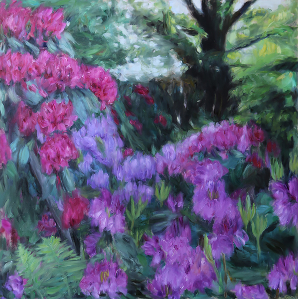 Rhododendron IV