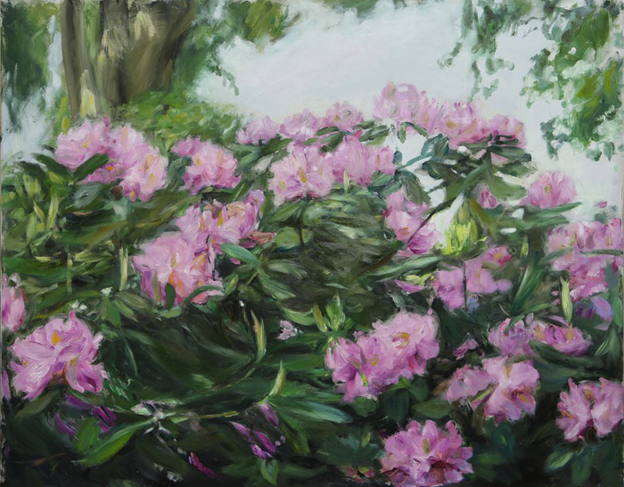 Rhododendron III