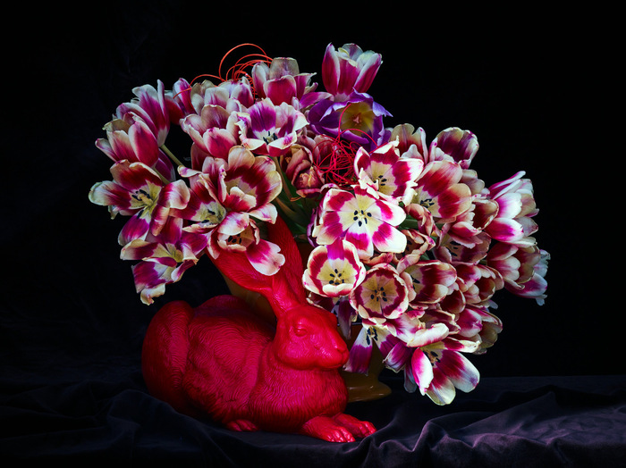 Ich weiß von nichts