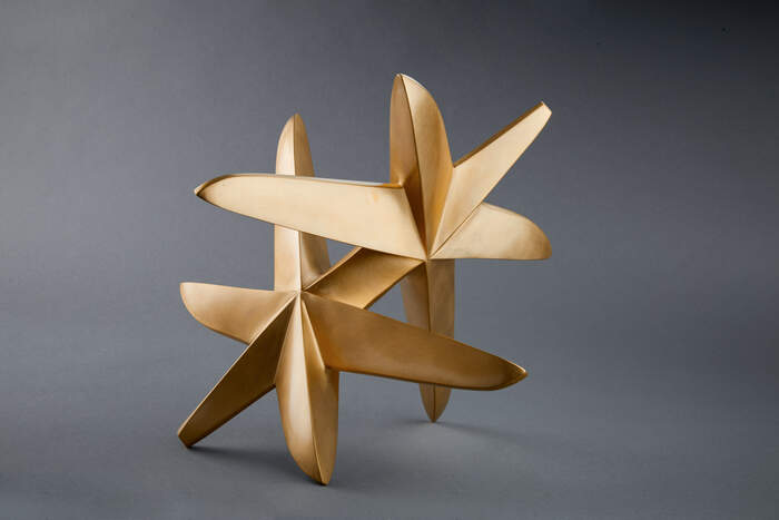 Wnr. 212.) Rolling Starfish