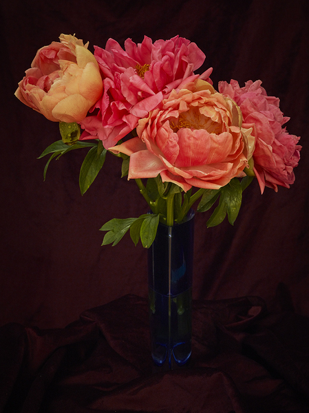 pink peonies