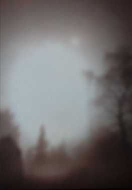 Nikolai Makarov: Bäume im Morgengrauen, 2016