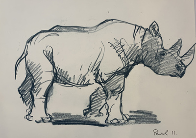 Pavel Feinstein: Rhinozeros, 2011