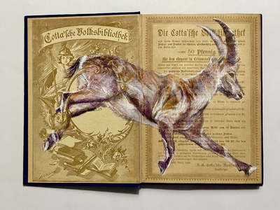 Kristin Kolb: Steinbock, 2024